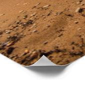 Hängematte an der Küste Poster (Ecke)