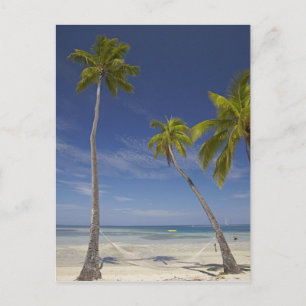 Hängematten und Palmen, Plantation Island Resort Postkarte
