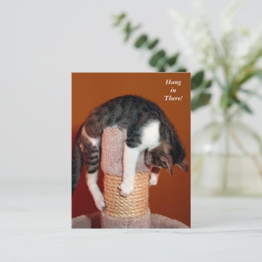 Hängen Sie dort humorvolle Tabby-Katze Postkarte (Stehend Vorderseite)
