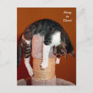 Hängen Sie dort humorvolle Tabby-Katze Postkarte