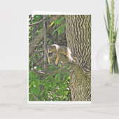 Hängen Sie dort Niedliches Eichhörnchen in der Bau Karte (Rückseite)