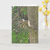 Hängen Sie dort Niedliches Eichhörnchen in der Bau Karte (Gelbe Blume)