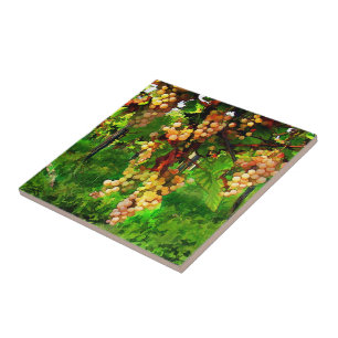 Hängende Trauben auf den Reben Fliese