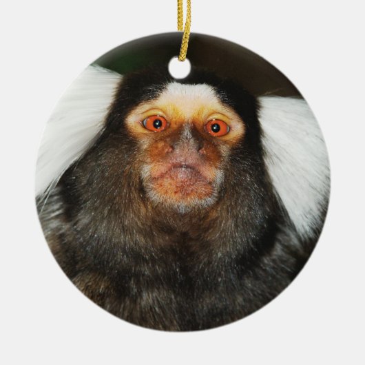 Hängende Verzierung des Marmoset Keramik Ornament (Vorne)