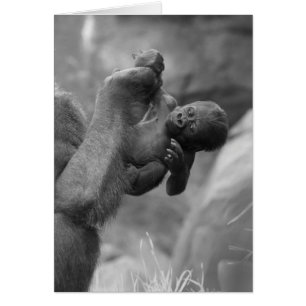 Hängendes Gorilla-Baby