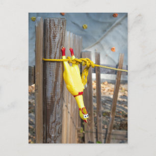 Hängendes Gummihuhn Postkarte