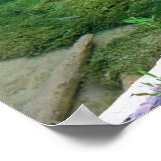 Hängesee Poster (Ecke)