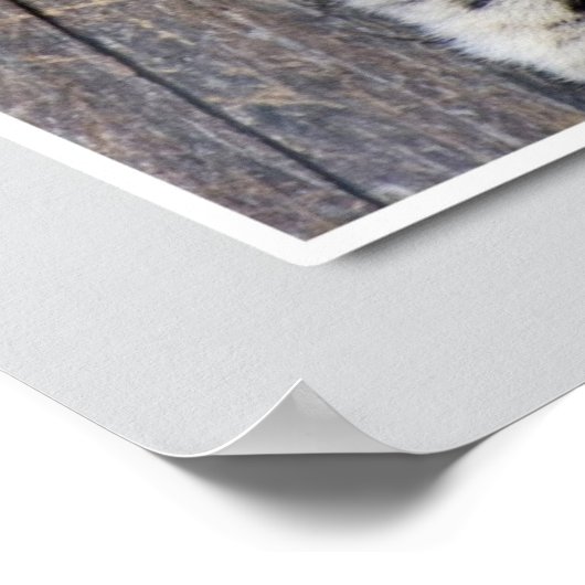 Hangin' Around....(w/Grenze) Poster (Ecke)