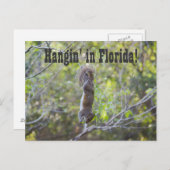 Hangin' in Florida Postkarte (Vorne/Hinten)