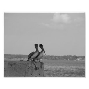 Hang'in Out Fotodruck