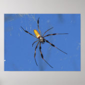 Hangin' Out Poster (Vorne)