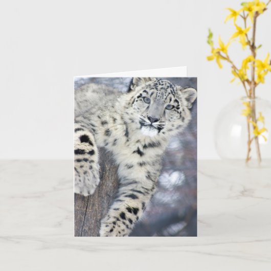 Hangin um…. karte (Gelbe Blume)