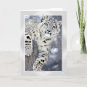 Hangin um….(w/border) karte (Vorderseite)