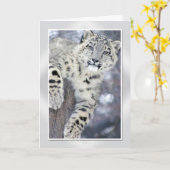 Hangin um….(w/border) karte (Gelbe Blume)