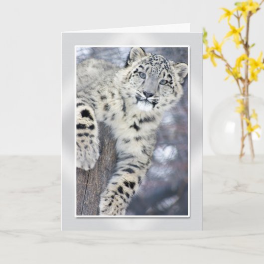 Hangin um….(w/border) karte (Gelbe Blume)