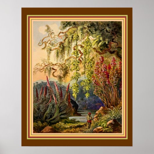 "Hanging Bamboo of Sri Lanka" von Haeckel ca. 1882 Poster (Vorne)