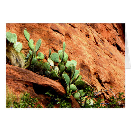Hanging Cactus Garden Zion National Park UT Blank