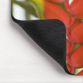 Hanging Heliconia, Weekly Dienstag Früchte & Mousepad (Ecke)