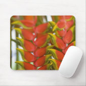 Hanging Heliconia, Weekly Dienstag Früchte & Mousepad (Mit Mouse)