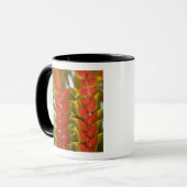 Hanging Heliconia, Weekly Dienstag Früchte & Tasse (Vorderseite Links)