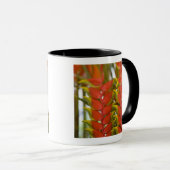 Hanging Heliconia, Weekly Dienstag Früchte & Tasse (VorderseiteRechts)