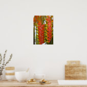 Hanging Heliconia, Weekly Tuesday fruit & Poster (Küche)