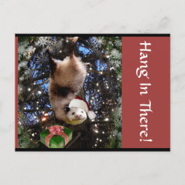 Hanging In There! Christmas Postcard Feiertagspostkarte
