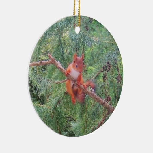 Hanging in There Keramik Ornament (Rechts)