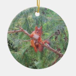 Hanging in There Keramik Ornament