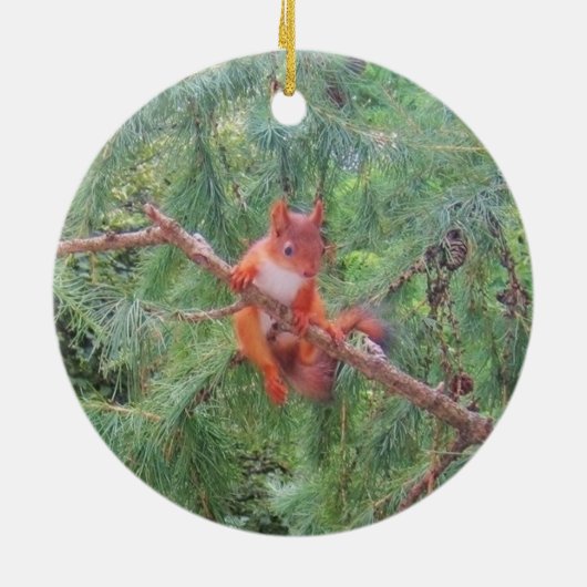 Hanging in There Keramik Ornament (Hinten)