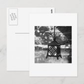Hanging Lanterns Fotografie Postcard Postkarte (Vorne/Hinten)