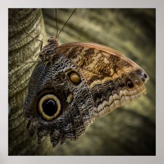 Hanging On Poster (Vorne)