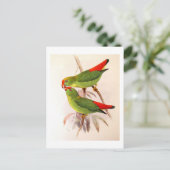 Hanging Parrots Postkarte (Stehend Vorderseite)