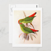 Hanging Parrots Postkarte (Vorne/Hinten)