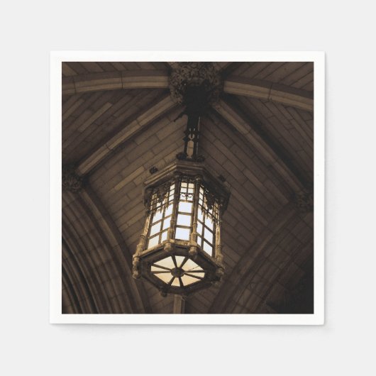 Hanging Pendant Light Serviette (Vorderseite)