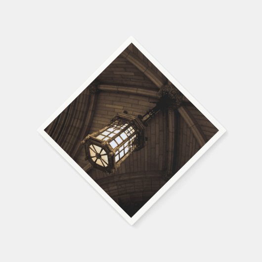 Hanging Pendant Light Serviette (Ecke)