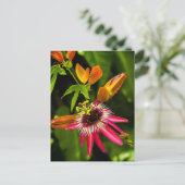Hanging Red Bromeliad Postkarte (Stehend Vorderseite)