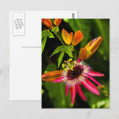 Hanging Red Bromeliad Postkarte (Vorne/Hinten)