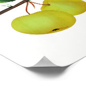 Hanging Soulard Apple Fruit Poster (Ecke)