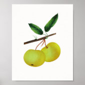 Hanging Soulard Apple Fruit Poster (Vorne)