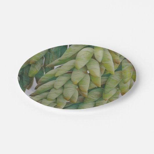 Hanging sukkulent pappteller (Schrägansicht)