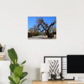 Hanging Tree, Cerrillos, New Mexico Poster (Heimbüro)