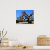 Hanging Tree, Cerrillos, New Mexico Poster (Küche)