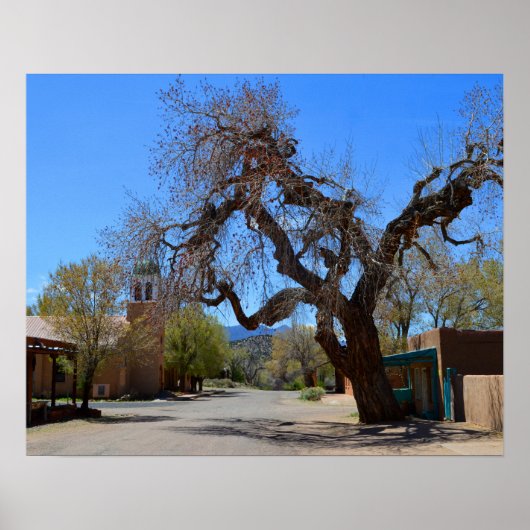 Hanging Tree, Cerrillos, New Mexico Poster (Vorne)