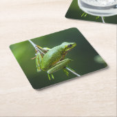 Hanging Tree Frog Rechteckiger Pappuntersetzer (angewinkelt)