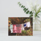 "Hangout" Nr.1 POSTCARD-Wäscheleine Postkarte (Stehend Vorderseite)
