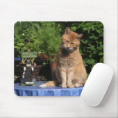 Hangover, Katzen, Tiere Mousepad (Mit Mouse)