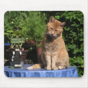 Hangover, Katzen, Tiere Mousepad
