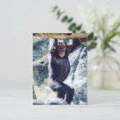 Hangschimmel Postkarte (Stehend Vorderseite)