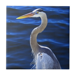 Hank der Reiher Fliese